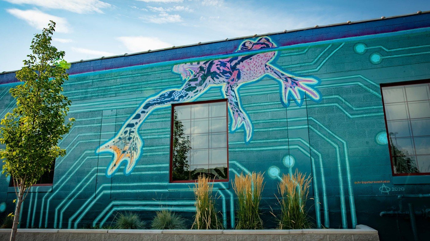 South Salt Lake Arts Council - Frogwater