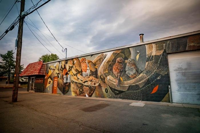 South Salt Lake Arts - Curtis Hylton